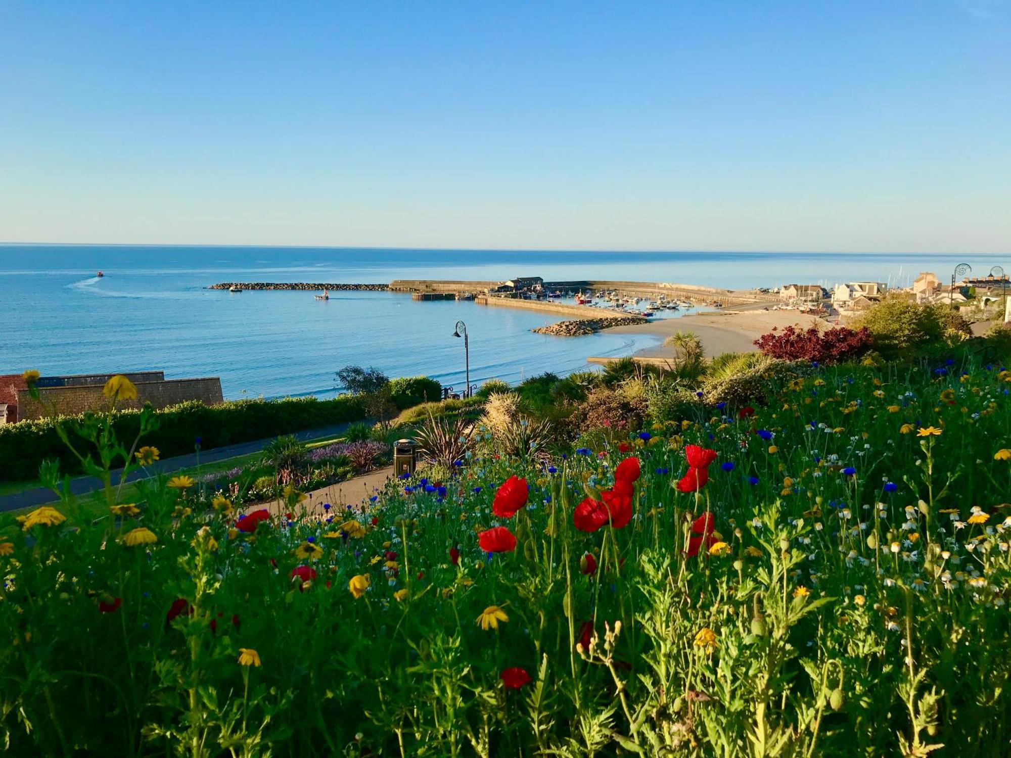 Lyme Regis Renovated Period Seaside Flat Appartement Buitenkant foto
